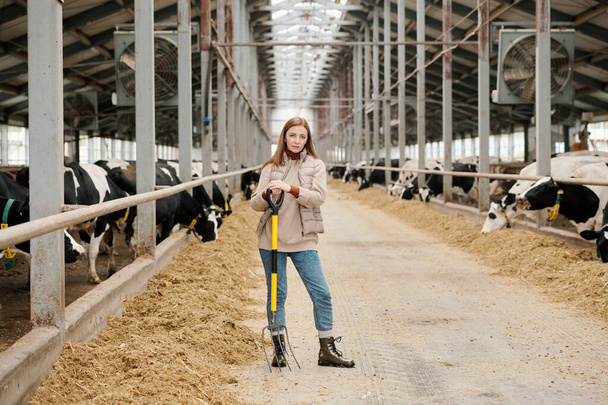 Retrato de una mujer de granja seria y confiada de pie con horquilla en un establo contemporáneo - Foto, Imagen