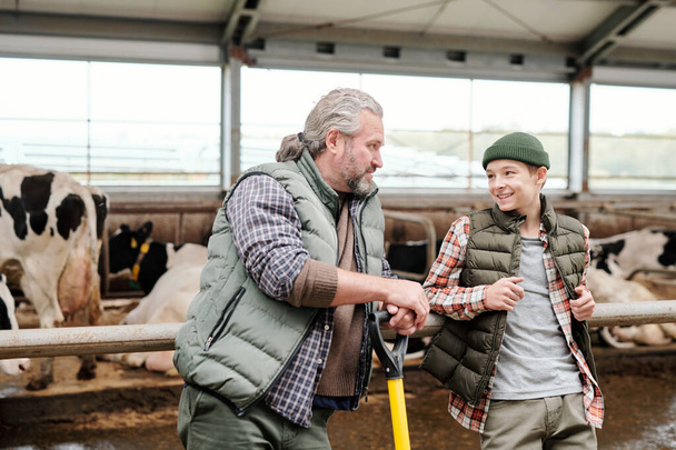 Positiv gereifter Vater und sein Sohn lehnen an einem Stallgeländer und diskutieren über Vieh, während sie auf einem Bauernhof Pause machen - Foto, Bild