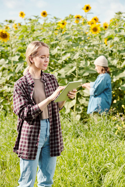 Young serious female farmer in workwear standing in front of camera and using digital tablet against sunflower field and mature woman working - Fotoğraf, Görsel