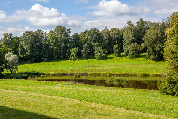 scenic view of lush green park scene - Fotoğraf, Görsel