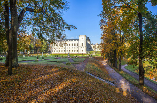 осень в парке, сцена с опавшими листьями - Фото, изображение