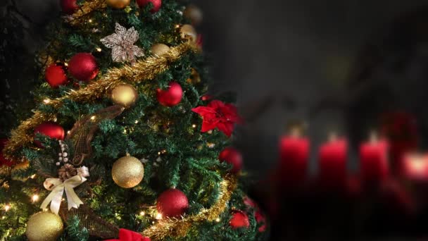 Árbol de Navidad decorado oro luminoso, rojo, Religión - Metraje, vídeo