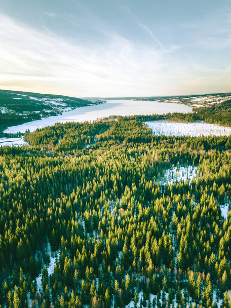 An aerial view of a beautiful natural landscape with snow and tall green trees - 写真・画像