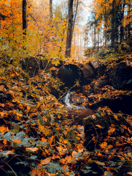 A vertical shot of an autumn forest with flowing water from a tube in an upper Austria - Fotografie, Obrázek