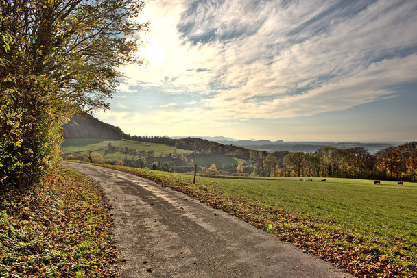 A landscape of pathway with trees and greenery in the countryside - Foto, Imagem