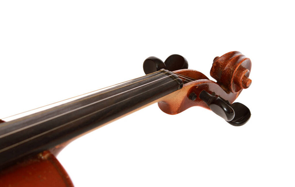 The strings of a violin isolated on a white background - Photo, Image