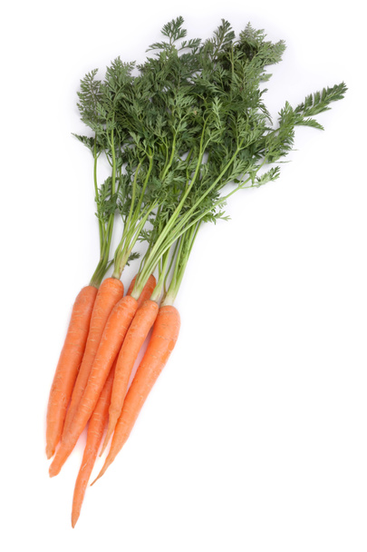 Zanahoria fresca
 - Foto, imagen