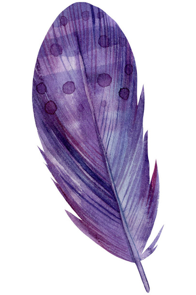Feathers hand-painted watercolor, Isolated images on white background. - Photo, Image