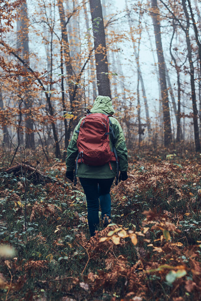 Woman with backpack wandering around a forest on autumn cold day. Back view of middle age active woman going along forest path actively spending time - Photo, Image