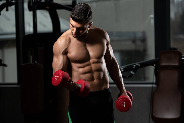 Athlete Working Out Biceps In A Gym - Dumbbell Concentration Curls - Photo, image