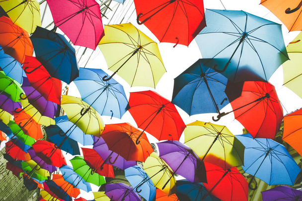 Mnoho pestrobarevné otevřené deštníky, pohled zdola, koncept ochrany, jásot, barevné pozadí - Fotografie, Obrázek