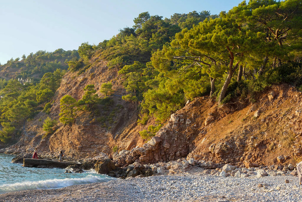 pebble beach surrounded by pine trees in Turkey   - 写真・画像