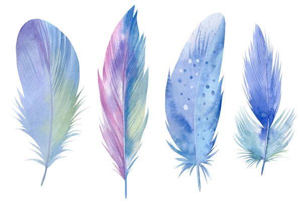 Set of bird feathers on white isolated background, hand-painted watercolor - Photo, Image