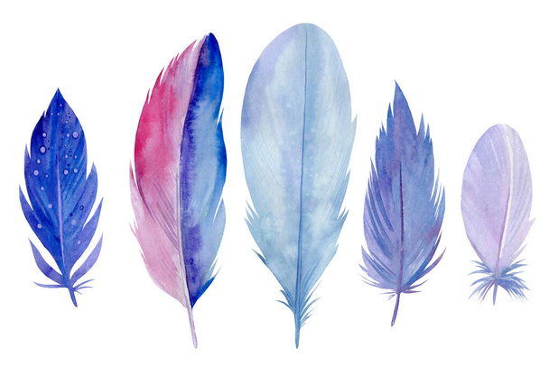 Colorful set of bird feathers on white isolated background, watercolor illustration, hand drawing - Photo, Image