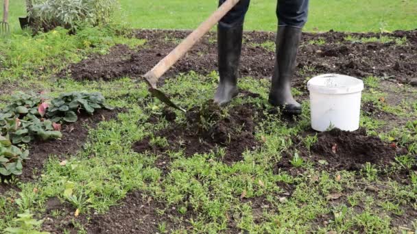αγρότης με λαστιχένιες μπότες και μια τσάπα σκάβει έναν κήπο και τον αγριεύει. Εξοχή. Καραντίνα. Βίντεο Full HD 60 fps. - Πλάνα, βίντεο