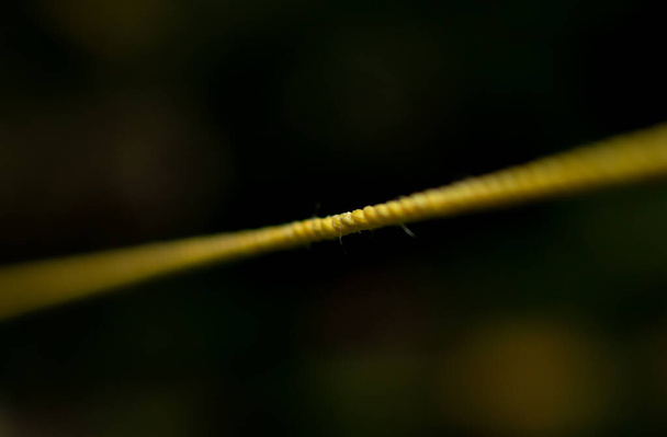 vista close-up de uma corda de plástico apertado extremidades embaçadas - Foto, Imagem