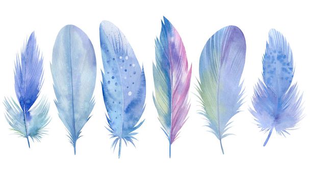 Blue set of bird feathers on white isolated background, watercolor illustration, hand drawing - 写真・画像
