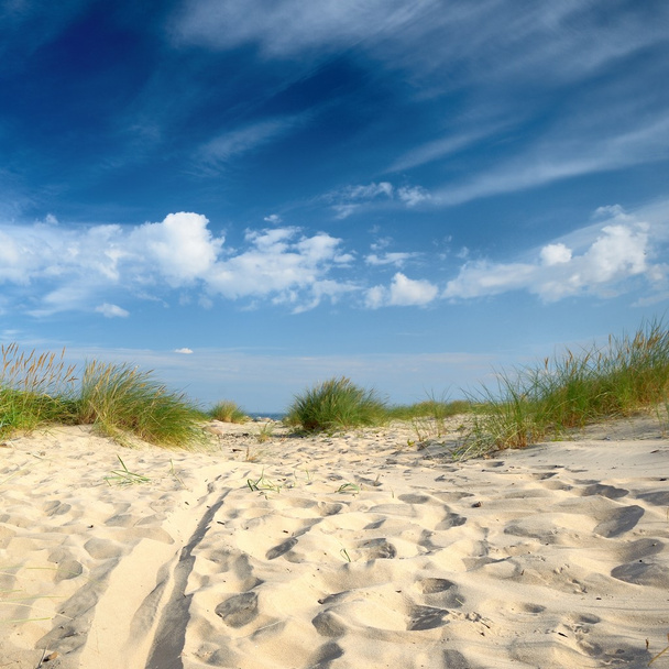 Baltské moře pobřeží písečná pláž - Fotografie, Obrázek