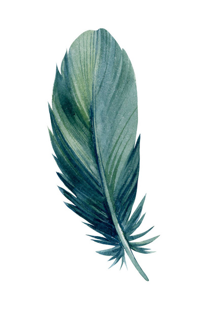 Pluma pluma verde sobre fondo blanco, acuarela ilustración - Foto, Imagen