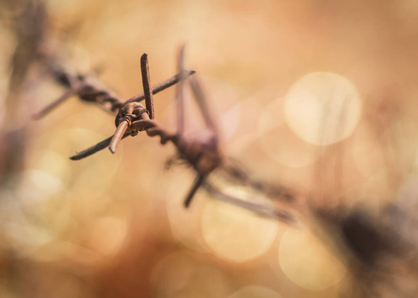 Human rights and social justice abstract concept with blurry barbed wire rod fence, candle light lit yellow gold bokeh - Photo, Image