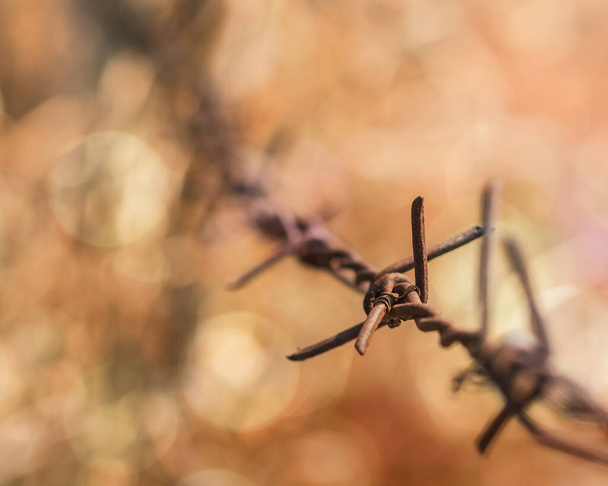Human rights and social justice abstract concept with blurry barbed wire rod fence, candle light lit yellow gold bokeh - Photo, Image