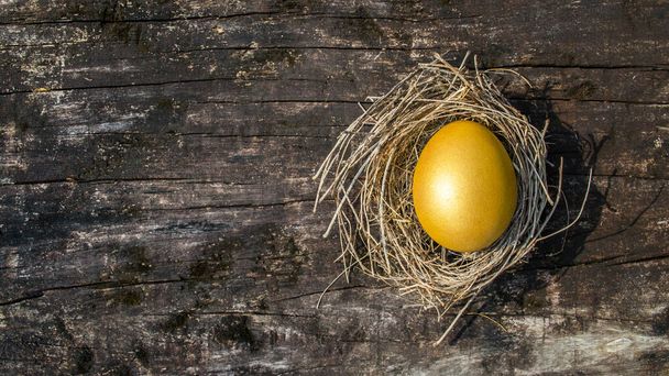 Un concetto di opportunità uovo d'oro di ricchezza e la possibilità di essere ricchi - Foto, immagini