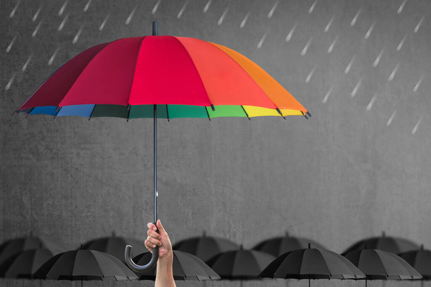 Henkivakuutusturva tai yritysjohdon käsite, jossa johtajan käsi pitää sateenkaaren sateenvarjoa mustalla liitutaululla  - Valokuva, kuva