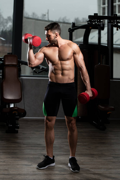 Man Working Out Biceps In A Gym - Dumbbell Concentration Curls - Photo, image