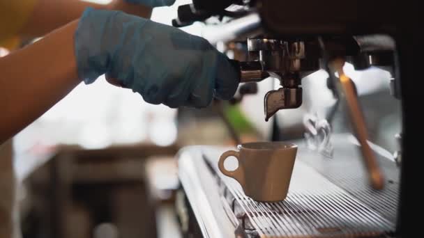 Nuori nainen tekee kahvia espresso kun yllään kirurgiset käsineet estää koronavirus leviäminen - Materiaali, video