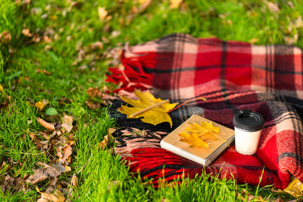 Leisure with a warm blanket and a cup of coffee in an autumn park. Autumn mood and state of mind. - Zdjęcie, obraz