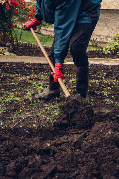 Gärtner gräbt den Garten um und versucht, ihn mit den notwendigen Nährstoffen zu versorgen. Landleben im Herbst. Der Mann trägt alte Kleidung und rote Handschuhe. - Foto, Bild