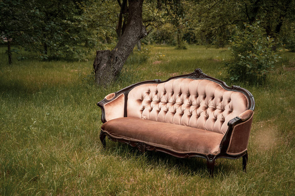 Komfortables Luxus-Sofa inmitten eines grünen Gartens an einem Sommertag. Gartenmöbel in der Natur. Kopierraum - Foto, Bild