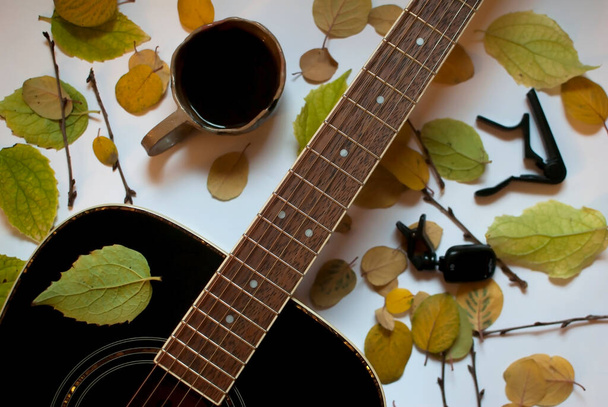 Guitar, capo, tuner and autumn leaves on white background - Photo, Image