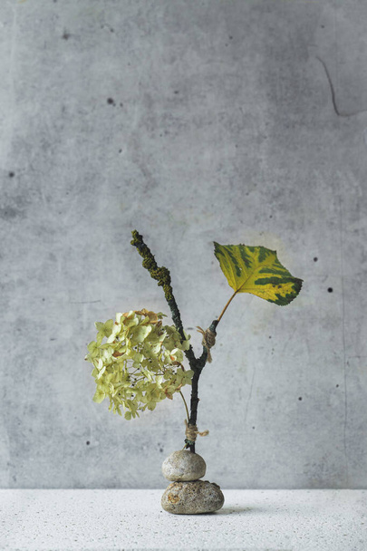 Bodegón con flores de hortensias y hojas balanceándose sobre pequeñas piedras - Foto, imagen