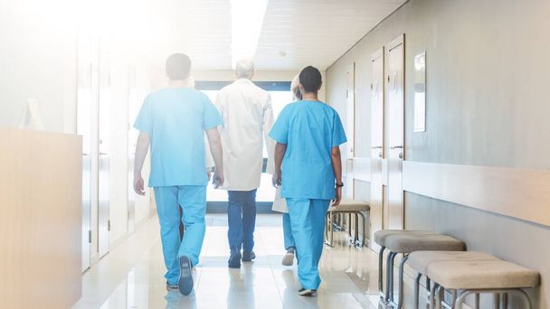 Back View of the Team of Doctors, Nurses and Assistants Walking through the Hallway of the Hospital. Professional Medical Personnel Working, Saving Lives. - Foto, imagen