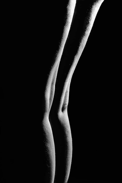black and white line of the female body, back, hips, buttocks - Photo, Image