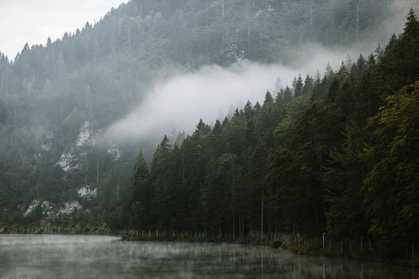 Mlhavé časné ráno na horském jezeře - Fotografie, Obrázek