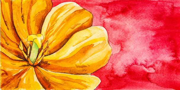 Portrayal of a yellow flower in reddish background. Watercolor painting. - Photo, image