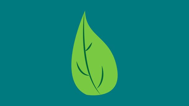 basilicum blad van groene kleur op een groene achtergrond, vector illustratie. basilicum toe te voegen aan voedsel, pizza, diverse gerechten. natuurlijke biologische kruiden, zwart-wit illustratie - Vector, afbeelding