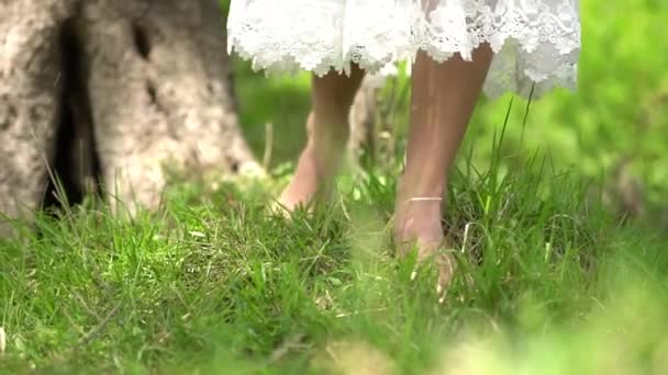 ξυπόλητη νύφη περπατά στο γρασίδι, φούστα φτερουγίζει στον άνεμο - Πλάνα, βίντεο