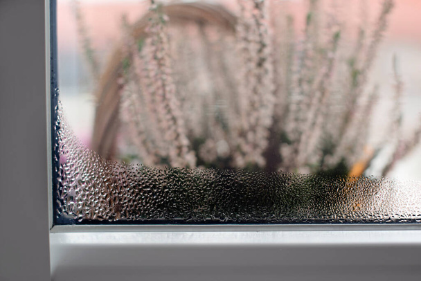 Selective focus on water condensation on window glass. Humidity in the house. Home moisture. - Photo, Image