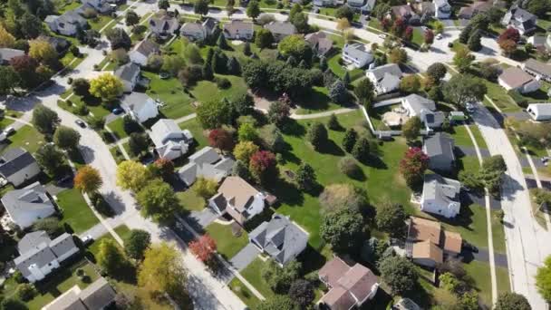 Widok z lotu ptaka na kolorowe jesienne drzewa domy mieszkalne i podwórka wzdłuż podmiejskiej ulicy w Chicago. Środkowo-zachodnie USA. 4K - Materiał filmowy, wideo