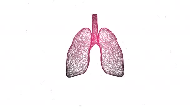 4k βίντεο από χαραγμένη απεικόνιση της δομής των πνευμόνων του ανθρώπου με τα λειτουργικά μέρη του. - Πλάνα, βίντεο