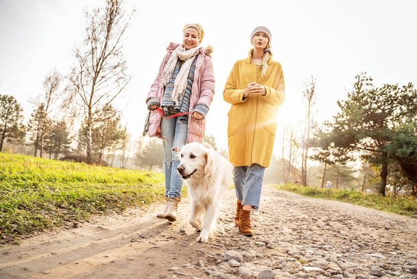 Two blonde girls talking and walking with golden retriever dog in autumn park. - Valokuva, kuva