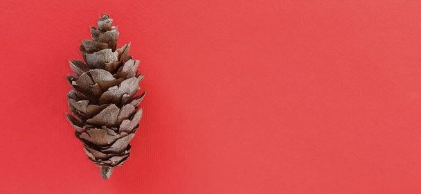 beautiful pine cone on a red background. New Year and Christmas decorations. Spruce or pine cone close up. Banner. Spruce cone on the left. - Fotografie, Obrázek