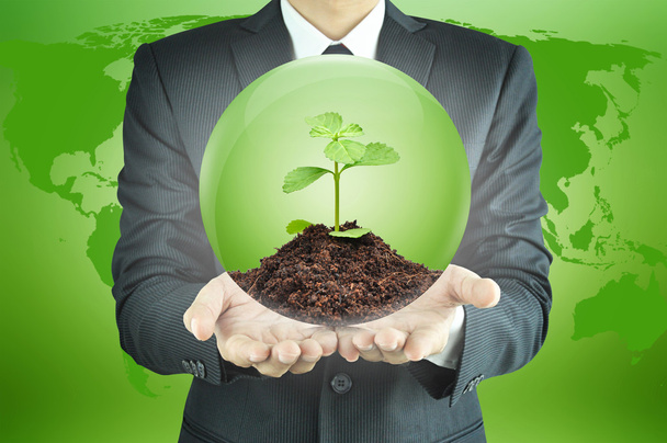επιχειρηματίας που κατέχουν πράσινο δενδρύλλιο με χώμα μέσα στη σφαίρα - Φωτογραφία, εικόνα