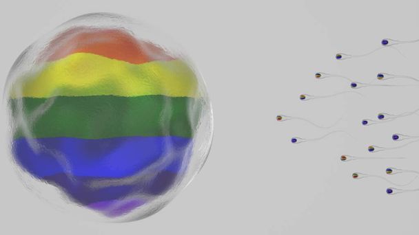 Nuoto di sperma all'uovo umano con i colori della bandiera dei diritti LGBT che rappresentano i diritti alla genitorialità per la comunità LGBT. Rendering 3D su sfondo bianco.  - Foto, immagini
