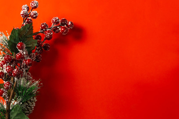 kırmızı Noel Çiçeklerin arka plan dekorasyonu - Fotoğraf, Görsel