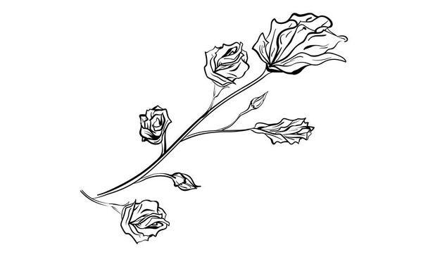 Retro style plant line drawing - Vektor, kép