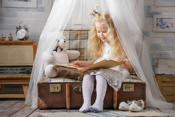 Cute little girl in princess costume reading a book to her toys in the room in the attic - Fotografie, Obrázek